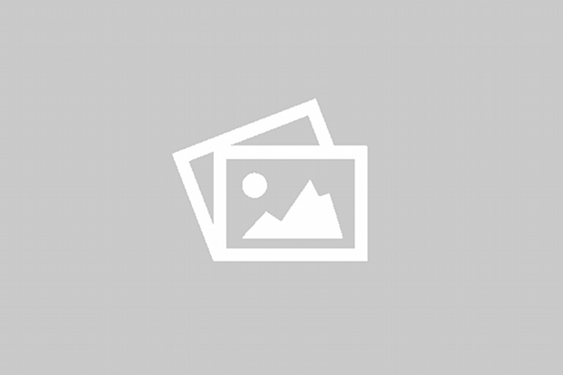 Heine Mini-3000 F.O. Otoscope with 10 Disposable Tips D-001.70.110